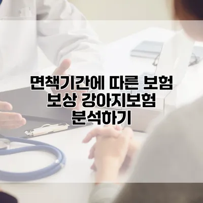 면책기간에 따른 보험 보상 강아지보험 분석하기