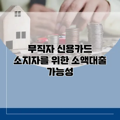 무직자 신용카드 소지자를 위한 소액대출 가능성