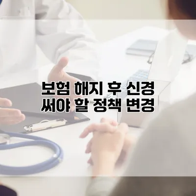 보험 해지 후 신경 써야 할 정책 변경