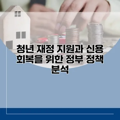 청년 재정 지원과 신용 회복을 위한 정부 정책 분석