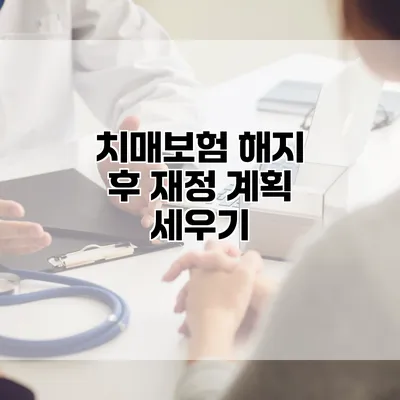 치매보험 해지 후 재정 계획 세우기