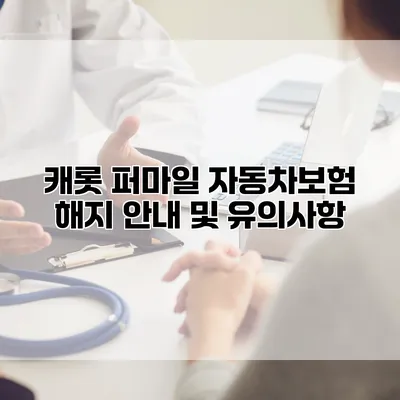 캐롯 퍼마일 자동차보험 해지 안내 및 유의사항