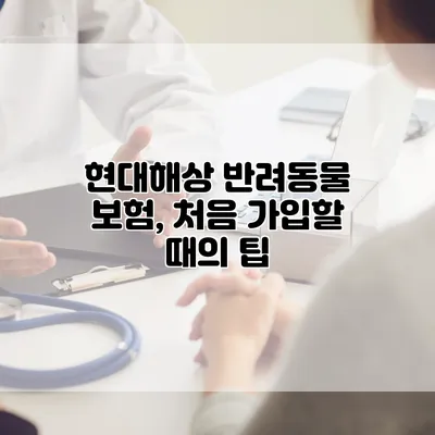 현대해상 반려동물 보험, 처음 가입할 때의 팁