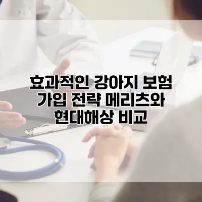 효과적인 강아지 보험 가입 전략 메리츠와 현대해상 비교