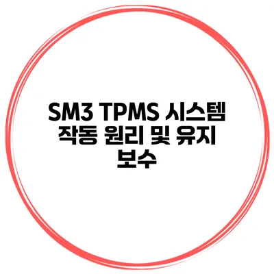 SM3 TPMS 시스템 작동 원리 및 유지 보수