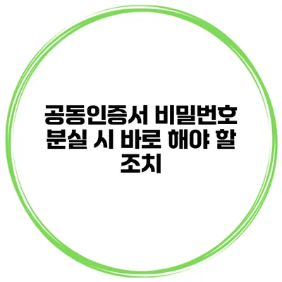 공동인증서 비밀번호 분실 시 바로 해야 할 조치
