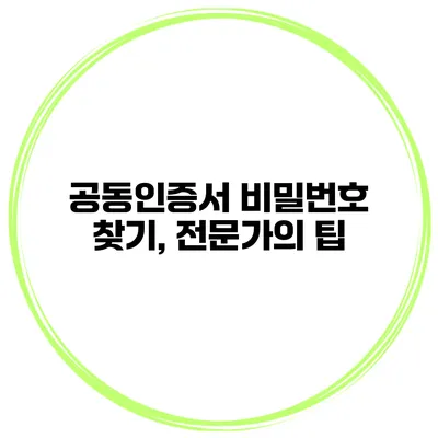 공동인증서 비밀번호 찾기, 전문가의 팁
