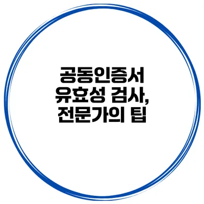 공동인증서 유효성 검사, 전문가의 팁