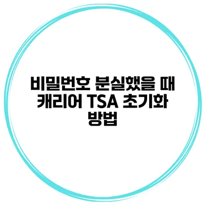 비밀번호 분실했을 때 캐리어 TSA 초기화 방법