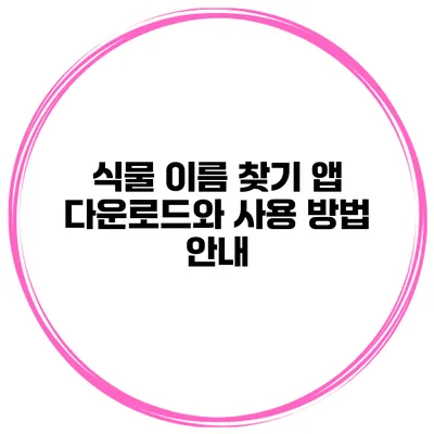 식물 이름 찾기 앱 다운로드와 사용 방법 안내