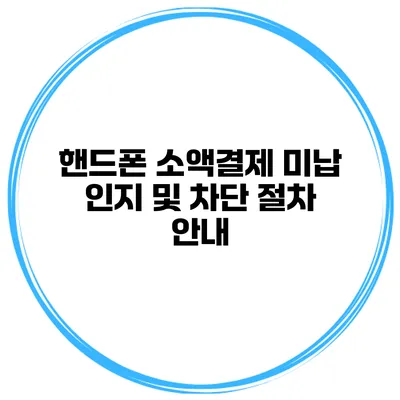 핸드폰 소액결제 미납 인지 및 차단 절차 안내